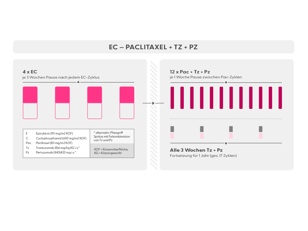 Chemotherapie Schema EC (Epirubicin und Cyclophosphamid) Paclitaxal + Trastuzumab + Pertuzumab