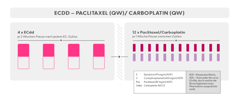 Chemotherapie Schema Epirubicin + Cyclophosphamid, gefolgt von Paclitaxel + Carboplatin, 14tägige Abstände zwischen den EC-Zyklen