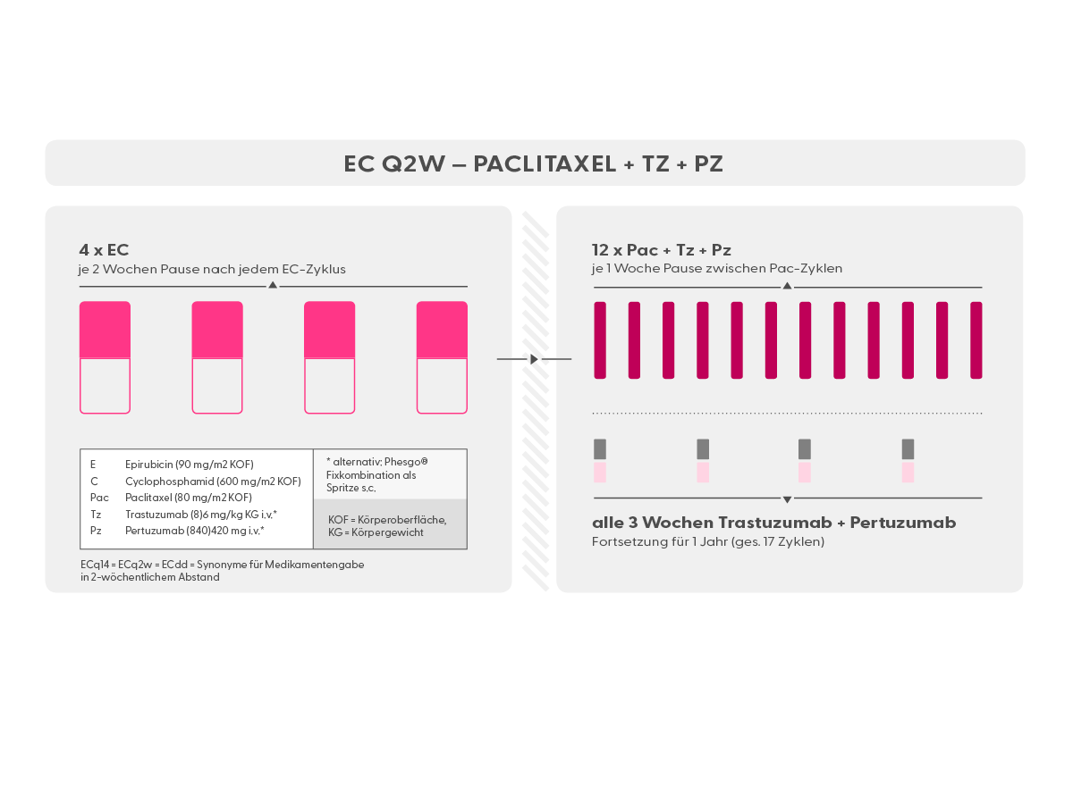 Chemotherapie Schema Epirubicin + Cyclophosphamid, Paclitaxel + Trastuzumab + Pertuzumab