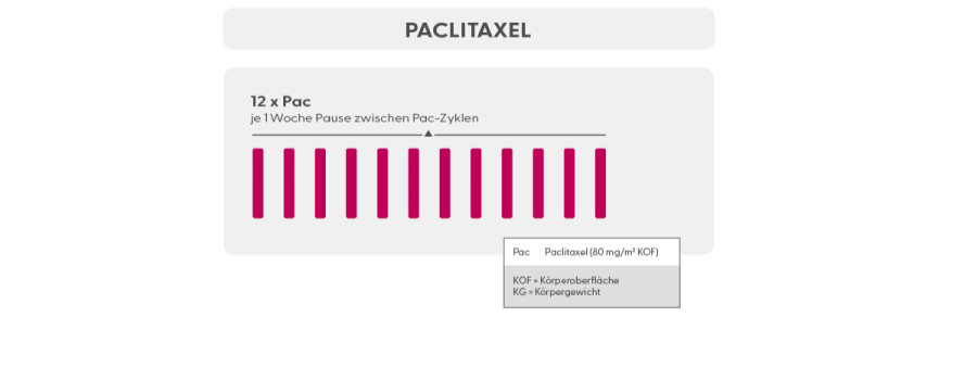 Chemotherapie Schema Paclitaxal