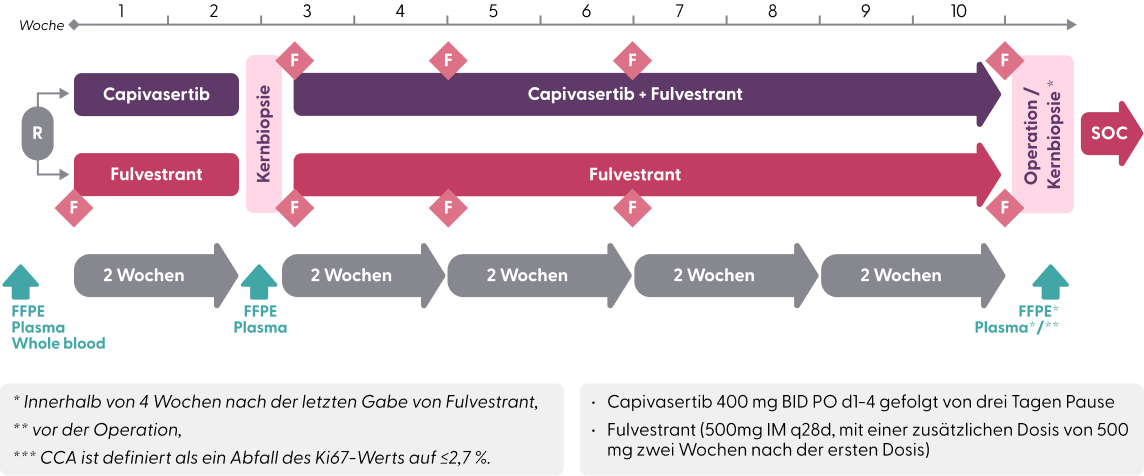 Studienaufbau